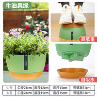 朵咔园艺 吊兰花盆吊篮悬挂式专用垂吊植物球兰矮牵牛霸王蕨卷叶牡丹大吊盆