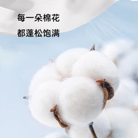 雪中飞 SNOWFLYING白色短袖t恤女2025夏季纯棉宽松半袖运动休闲风简约M 奶白色|8009-2301F XL (170/92A) XL 170/92A-尺码130-150斤