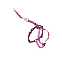 PetSafe 贝适安 猫咪随行背带+弹力牵引绳爆冲防挣脱