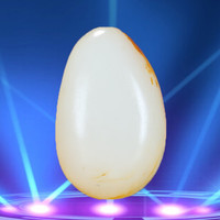 皇贵人和田玉羊脂玉原石原料毛料手把件53.57克 贵圈珠宝