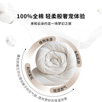 代字行 时空洞棉花四季被100%新疆绒棉纯棉全棉棉絮春秋被被褥被芯