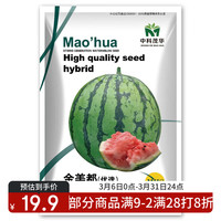 中科茂华 蔬菜水果种子金美都西瓜种子改良8424麒麟瓜高纯浙江美都西瓜種子 金美都50粒/袋