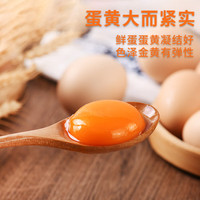 田农肴土鸡蛋 农家散养新鲜土鸡蛋柴鸡蛋笨鸡蛋草鸡蛋 15枚 40g/枚