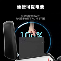 深远 SYUAN S&Y 深远 SYUAN009三代运动版27H版新国标轻便通勤外卖送餐代步电动自行车 深远 SYUAN009运动版/1000w电机/前后油刹 60V35AH