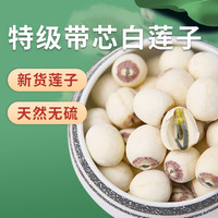 梧柏塘 莲子干货特级天然无硫湖南湘潭特产白莲红莲米 2024新货莲子