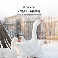 SIDANDA4A羽绒被95白鹅绒冬被加厚保暖春秋被子被芯120支全棉抗菌 25年升级款 4A级95白鹅绒 空调被 220x240cm