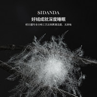 SIDANDA4A羽绒被95白鹅绒冬被加厚保暖春秋被子被芯120支全棉抗菌 25年升级款 4A级95白鹅绒 春秋被 220x240cm