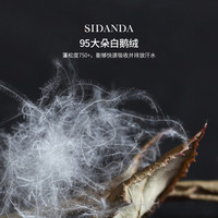 SIDANDA可水洗95白鹅绒夏被轻薄空调被春秋被子被芯羽绒被冬被 可水洗95鹅绒夏被 220x240cm