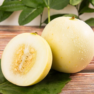 云南郁金香甜瓜5斤装大果300-500g