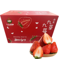PLUS会员：鑫久盈 丹东99红颜奶油草莓 天然果型 三斤大果 25-55g