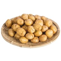 云南农家小土豆5斤装（约32-40个）