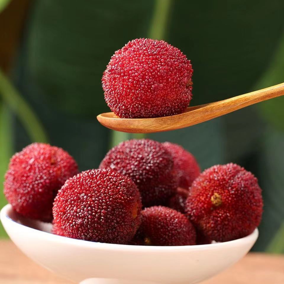 好店众测福建特产新鲜夏日即食冰镇杨梅40克30包