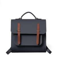 The Cambridge Satchel Company Messenger 拼色双肩背包