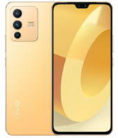 vivo S12 5G手机 12GB+256GB 暖金