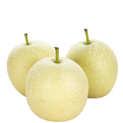 鑫民窑河北白皇冠梨5斤