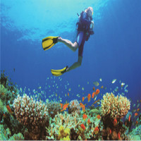 三亚西岛海洋文化旅游区门票（可提前预约免费班车）