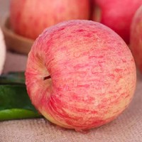 杞农优食陕西白水红富士苹果精品果75-80mm（约4.5-5斤约12个果）2021年新苹果 着色鲜艳 甜脆可口