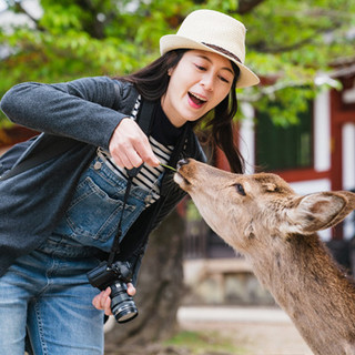 上海送签 日本三年多次个人旅游签证